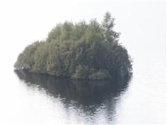 Insel auf Süßwassersee