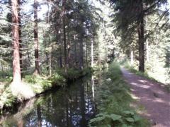 Wandern entlang eines Mühlgrabens im Bayerischen Wald