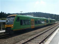 Die Waldbahn ist öffentliches Verkehrsmittel das für Nachhaltigkeit im Bayerischen Wald steht.